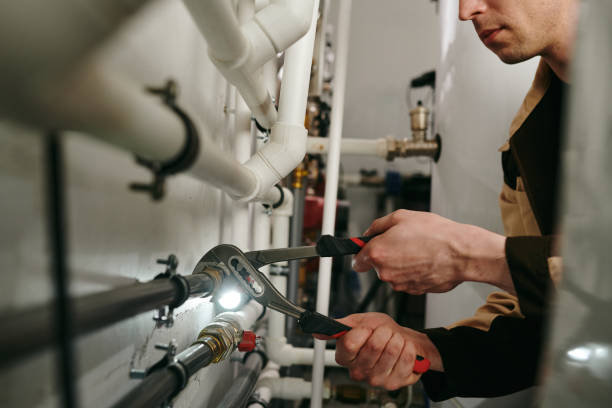 Best Local Plumber Services  in Durand, WI