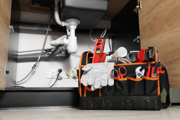 Best Plumbing Inspection Services  in Durand, WI