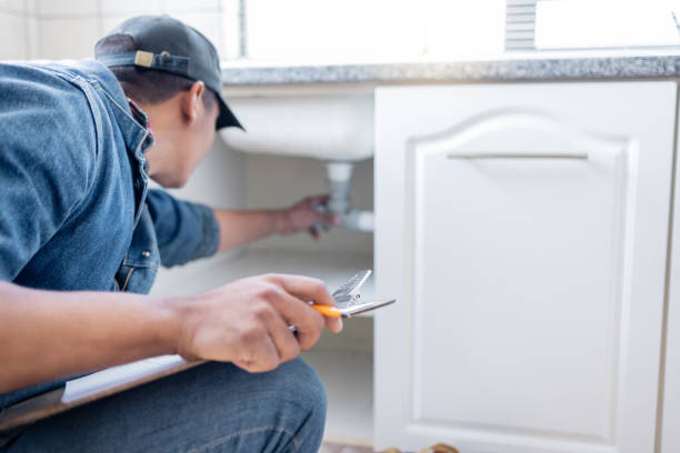Best Septic Systems  in Durand, WI