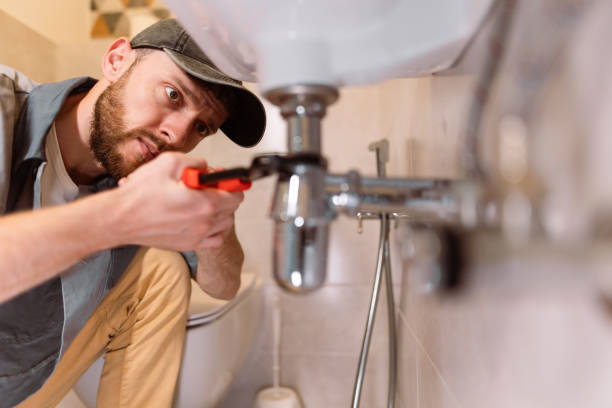 Best Clogged Drain Plumber  in Durand, WI