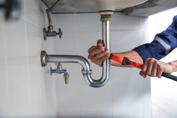 Best Commercial Plumbing Services  in Durand, WI
